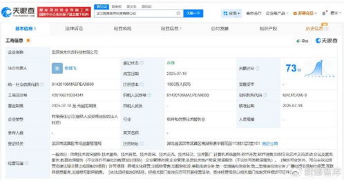 新東方武漢成立科技公司，注冊(cè)資本1000萬發(fā)力信息技術(shù)咨詢