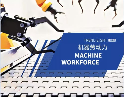 科技賦能，逆襲成為高效解放雙手的信息技術咨詢顧問